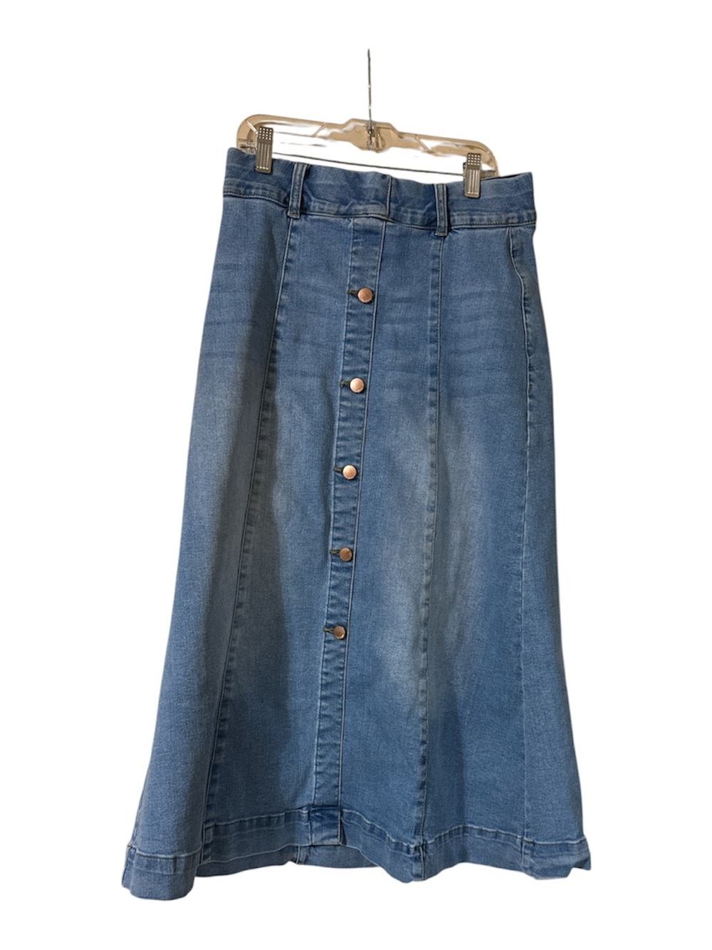 Denim A-Line Button-Front Maxi Skirt in Blue
